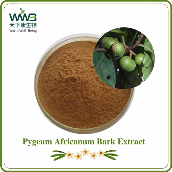 Herbal Additive Raw Material Bark Pygeum Extract
