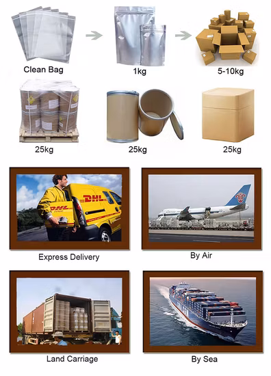 Wellgreen Factory Custom Herbal Extracts Bulb Red Spider Pulver Seerosenextrakt